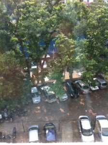 Outside my window at Apollo Hospital
